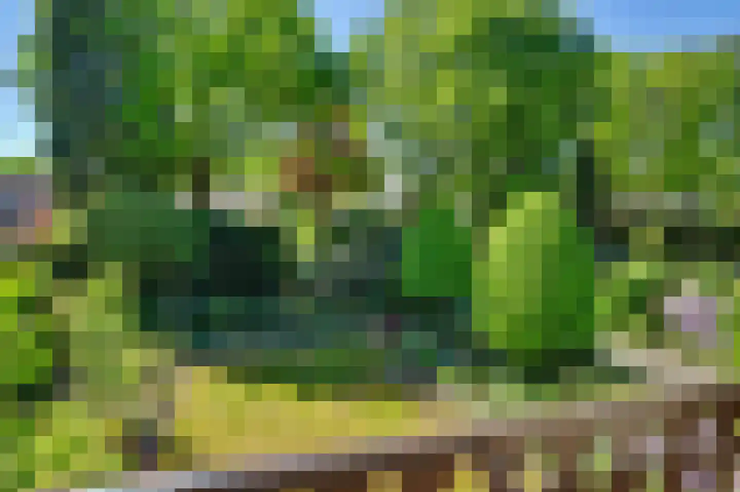 Dr. P. C. de Brouwerlaan 20 Hilvarenbeek thumbnail 28