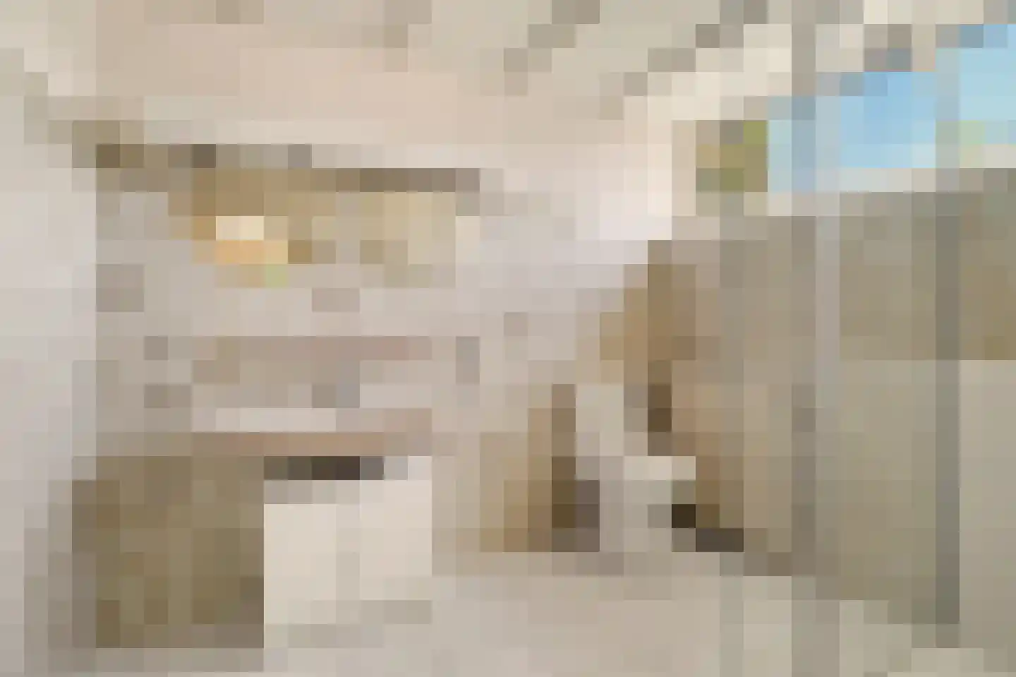 Dr. P. C. de Brouwerlaan 20 Hilvarenbeek thumbnail 31