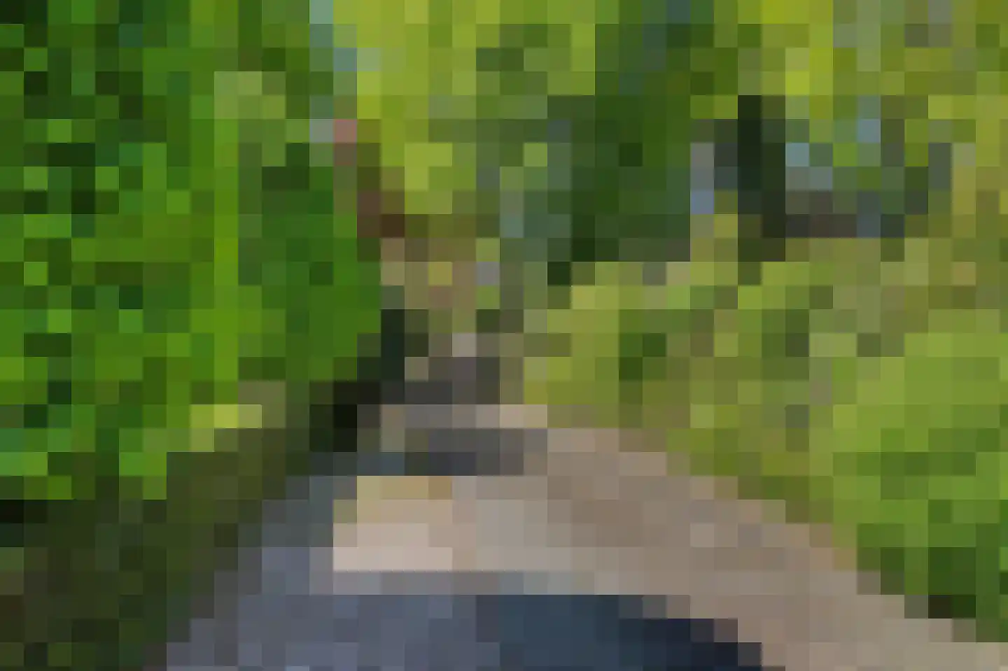 Dr. P. C. de Brouwerlaan 20 Hilvarenbeek thumbnail 35