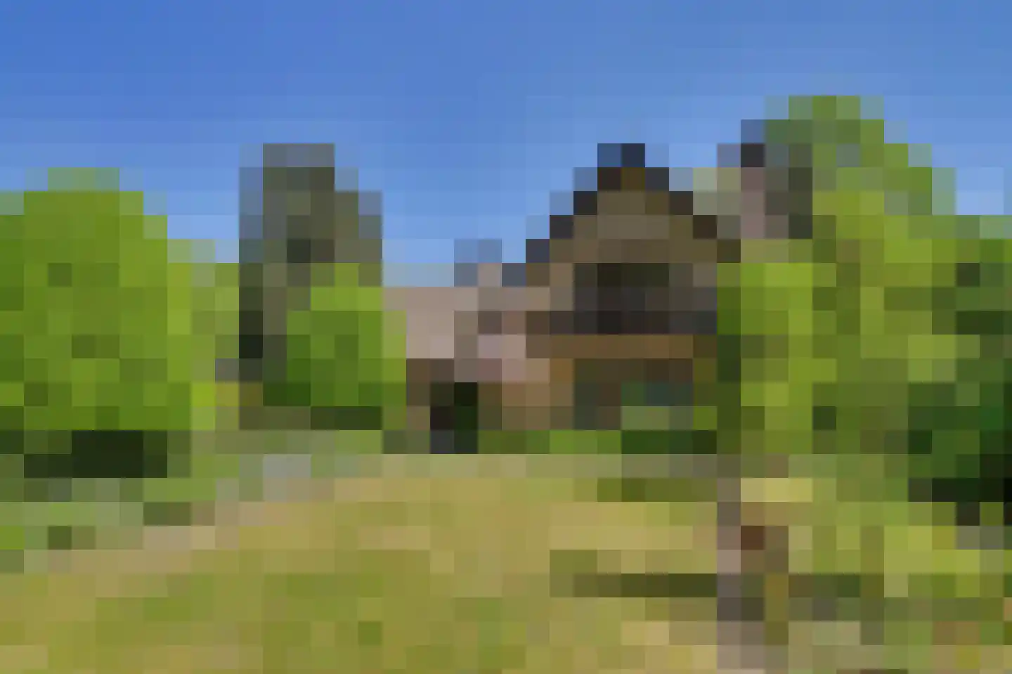 Dr. P. C. de Brouwerlaan 20 Hilvarenbeek thumbnail 37