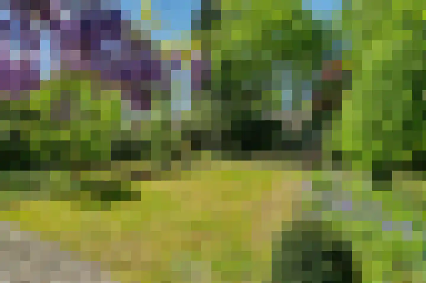 Dr. P. C. de Brouwerlaan 20 Hilvarenbeek thumbnail 38