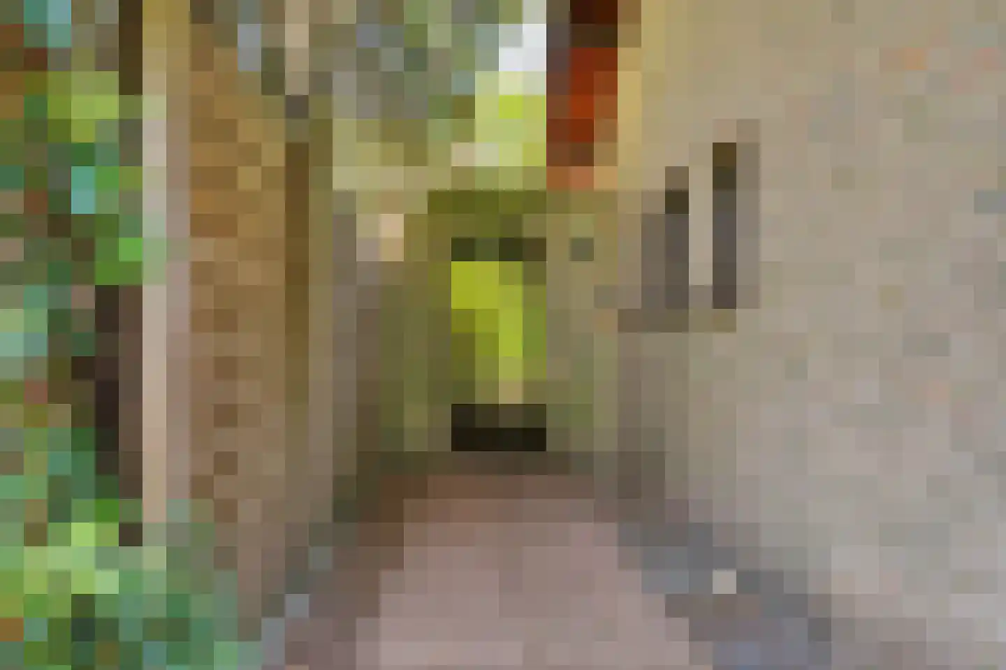 Dr. P. C. de Brouwerlaan 20 Hilvarenbeek thumbnail 39