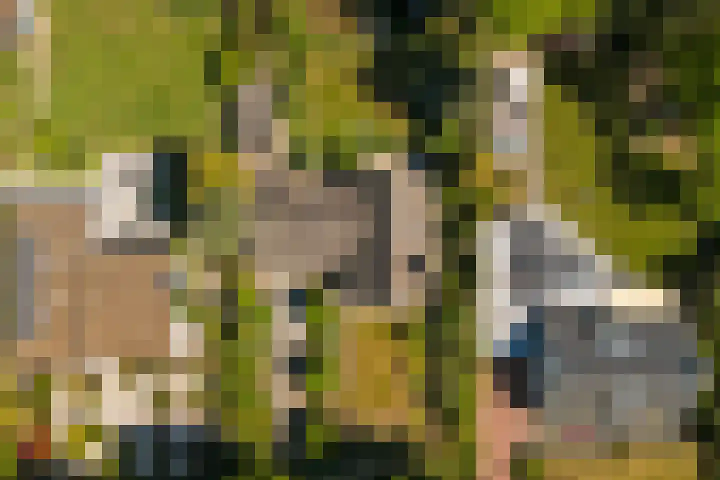 Dr. P. C. de Brouwerlaan 20 Hilvarenbeek thumbnail 4
