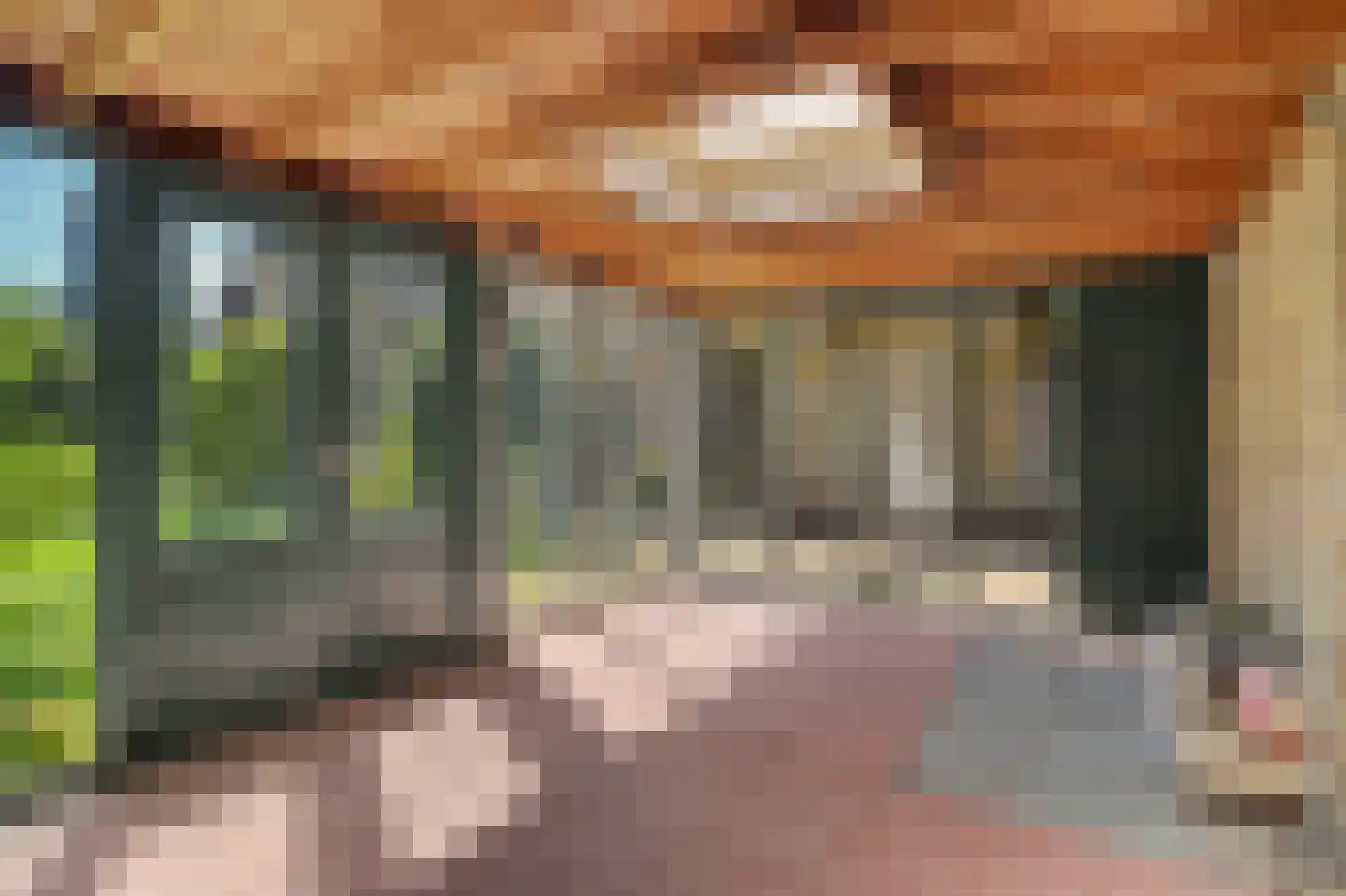 Dr. P. C. de Brouwerlaan 20 Hilvarenbeek thumbnail 41