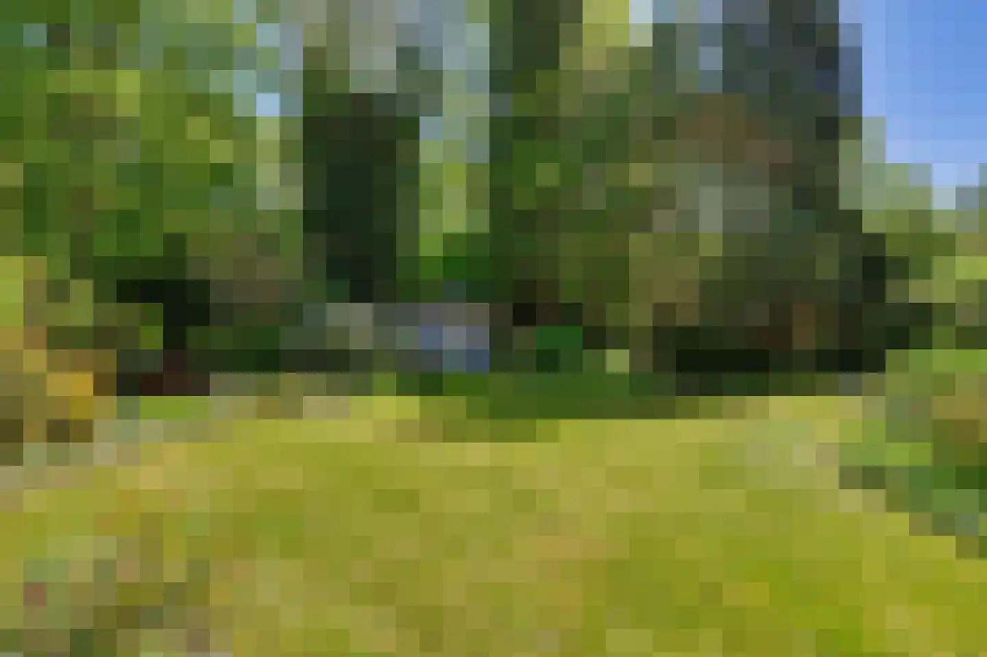 Dr. P. C. de Brouwerlaan 20 Hilvarenbeek thumbnail 43