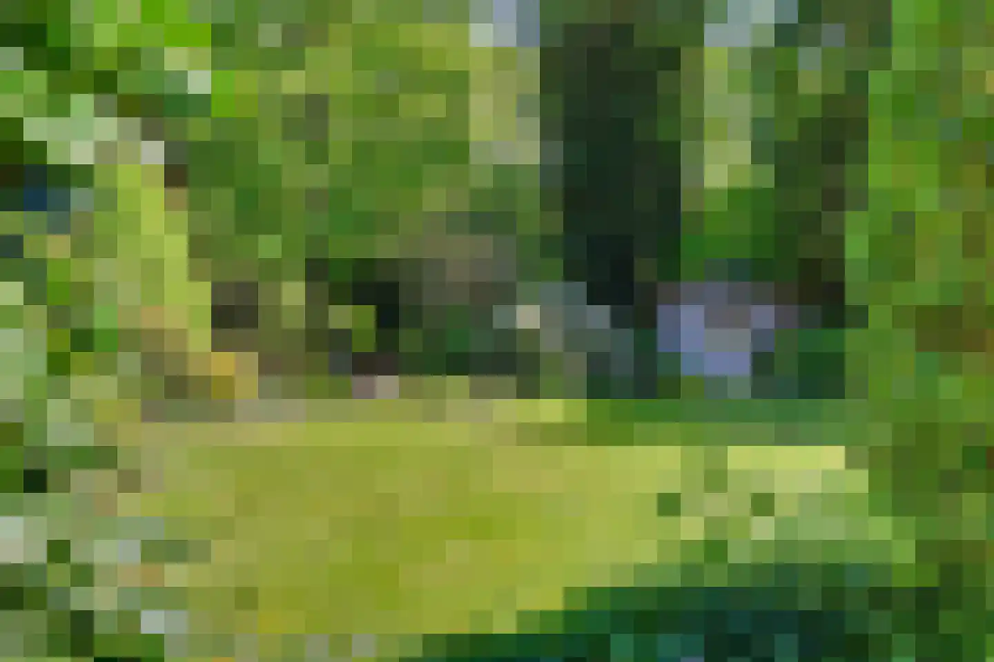 Dr. P. C. de Brouwerlaan 20 Hilvarenbeek thumbnail 44