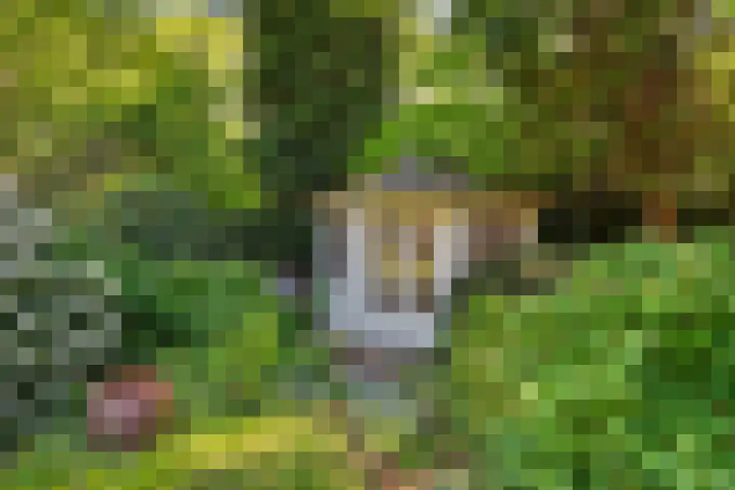 Dr. P. C. de Brouwerlaan 20 Hilvarenbeek thumbnail 45