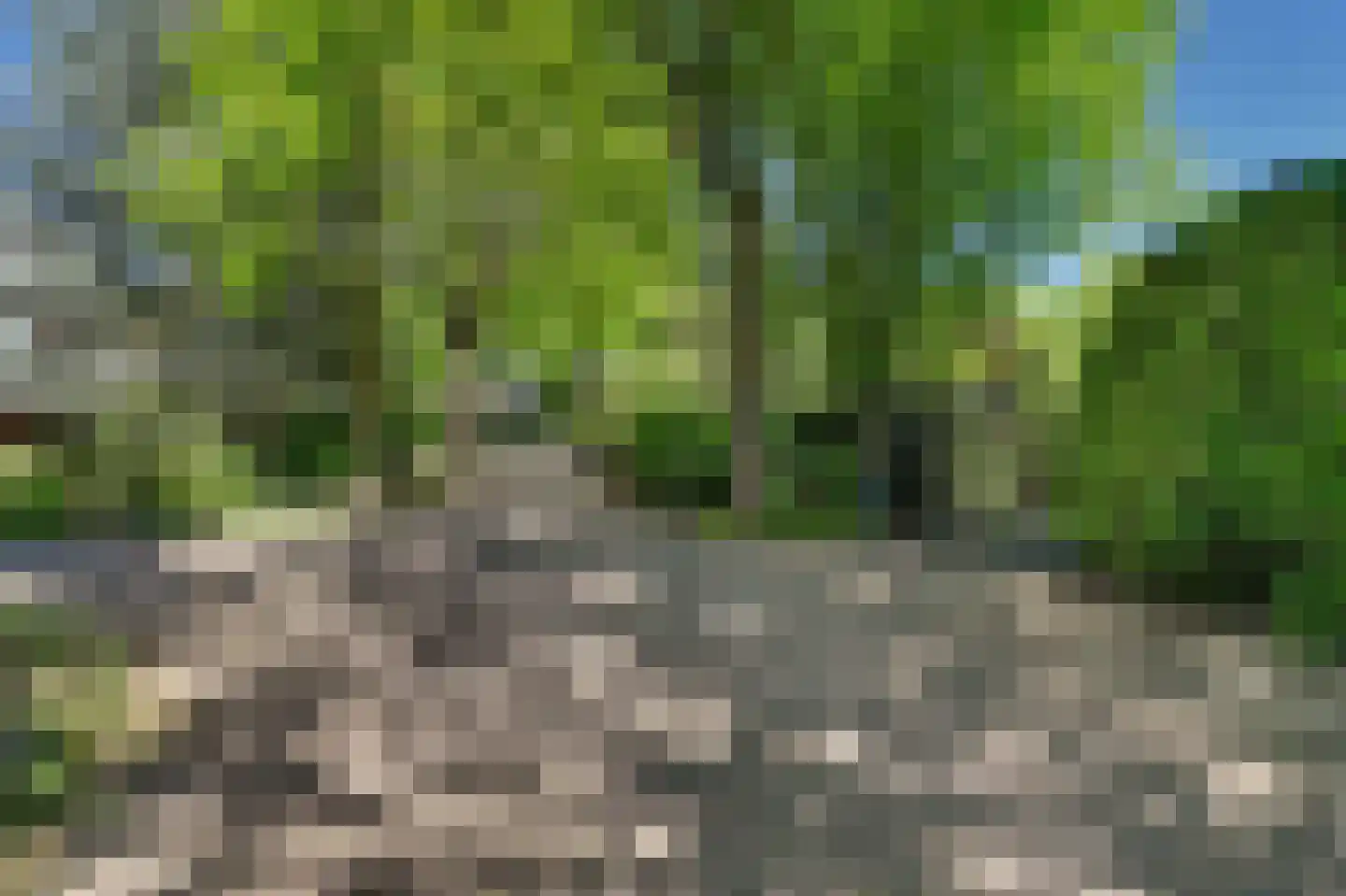 Dr. P. C. de Brouwerlaan 20 Hilvarenbeek thumbnail 49
