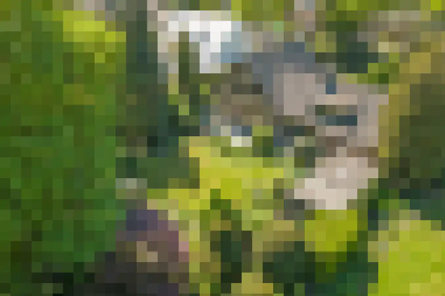 Dr. P. C. de Brouwerlaan 20 Hilvarenbeek thumbnail 5