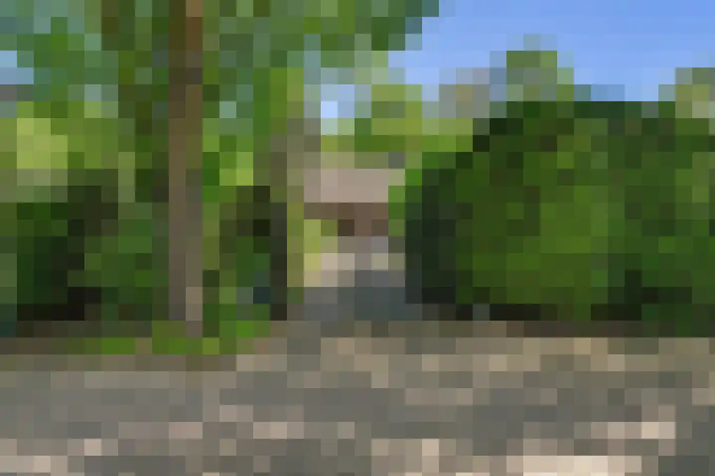 Dr. P. C. de Brouwerlaan 20 Hilvarenbeek thumbnail 6