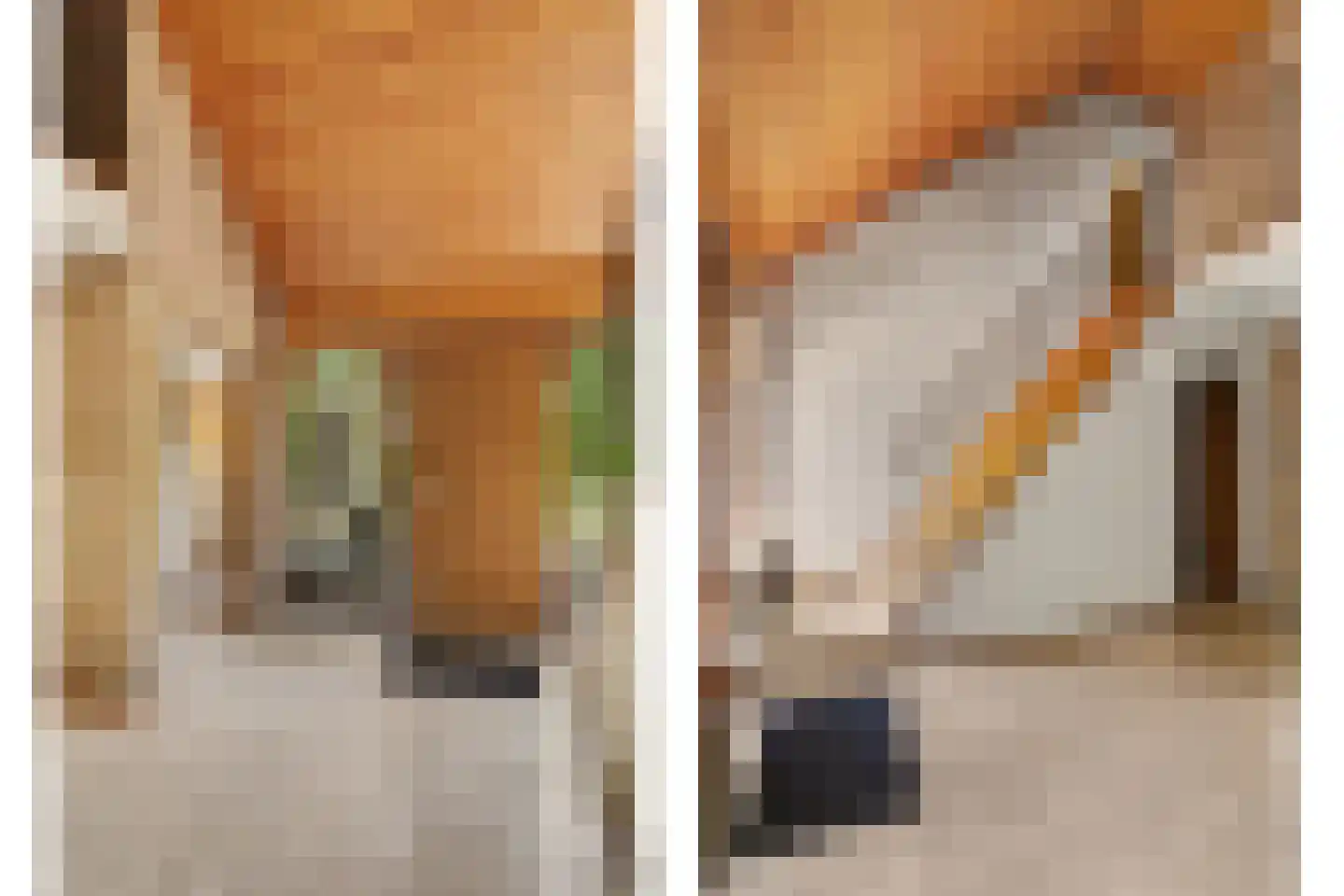 Dr. P. C. de Brouwerlaan 20 Hilvarenbeek thumbnail 8
