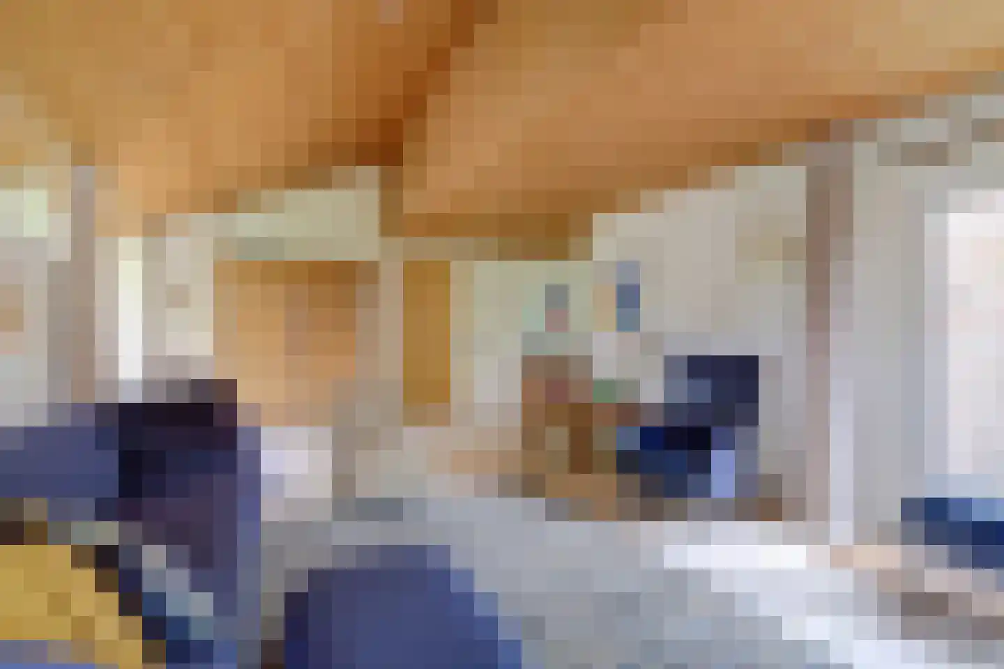 Dr. P. C. de Brouwerlaan 6 Hilvarenbeek thumbnail 10