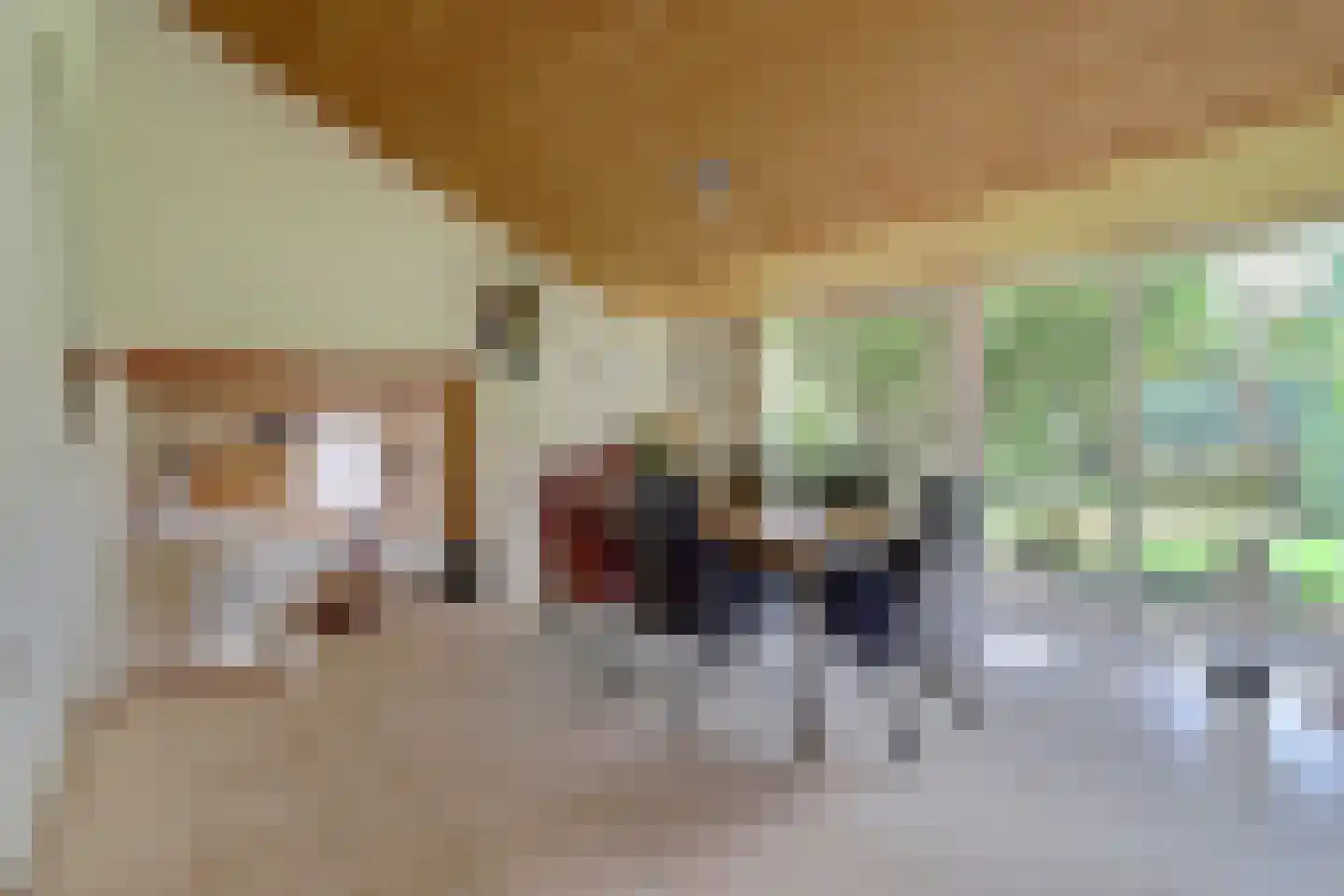 Dr. P. C. de Brouwerlaan 6 Hilvarenbeek thumbnail 13