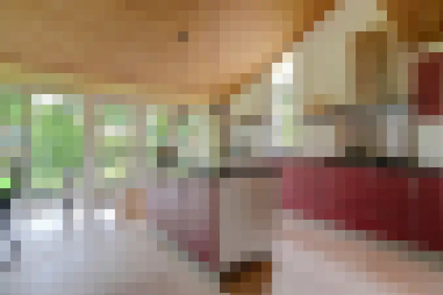 Dr. P. C. de Brouwerlaan 6 Hilvarenbeek thumbnail 15