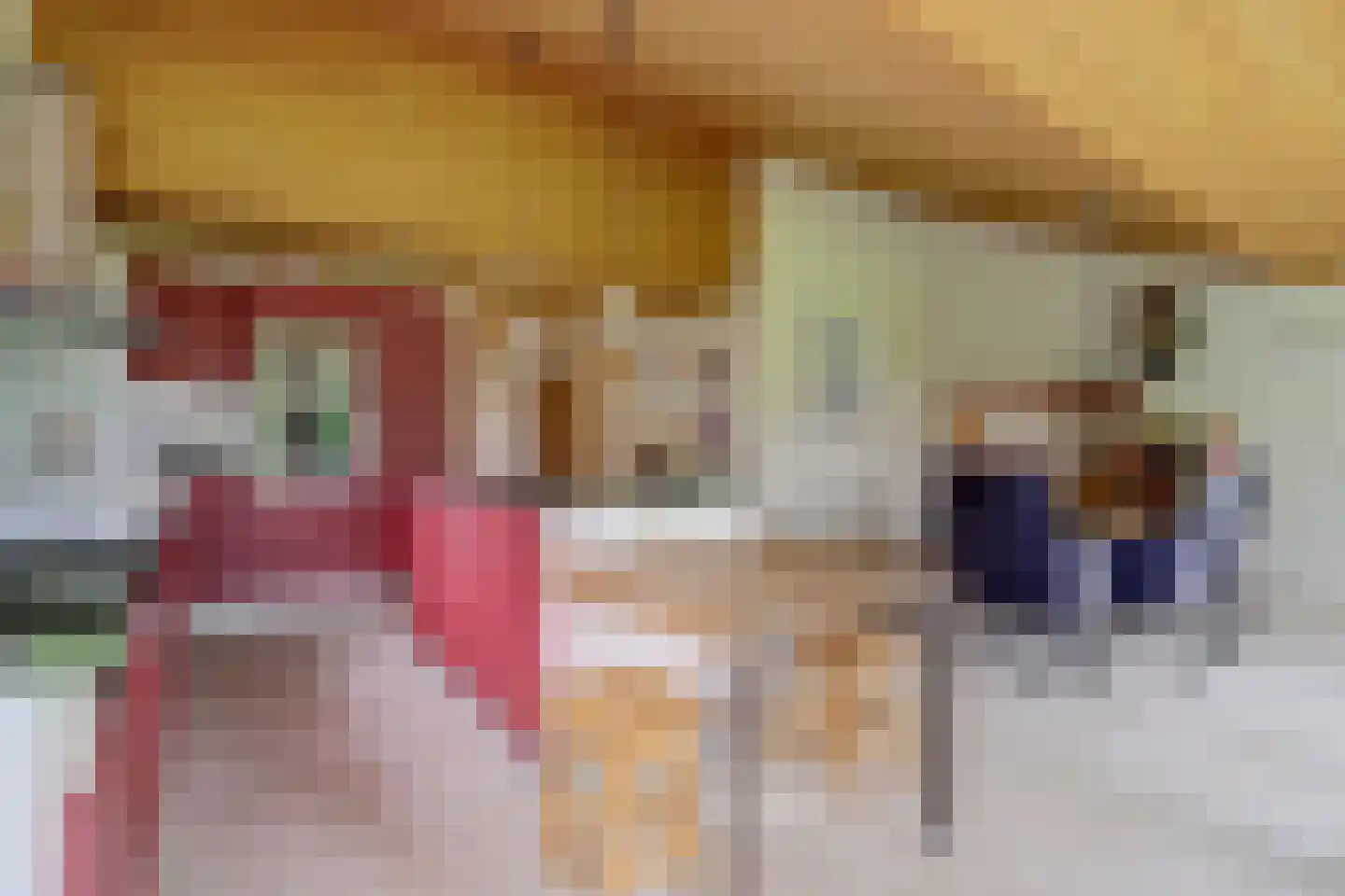 Dr. P. C. de Brouwerlaan 6 Hilvarenbeek thumbnail 17