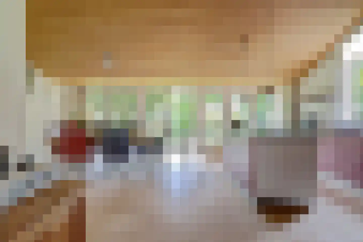 Dr. P. C. de Brouwerlaan 6 Hilvarenbeek thumbnail 19