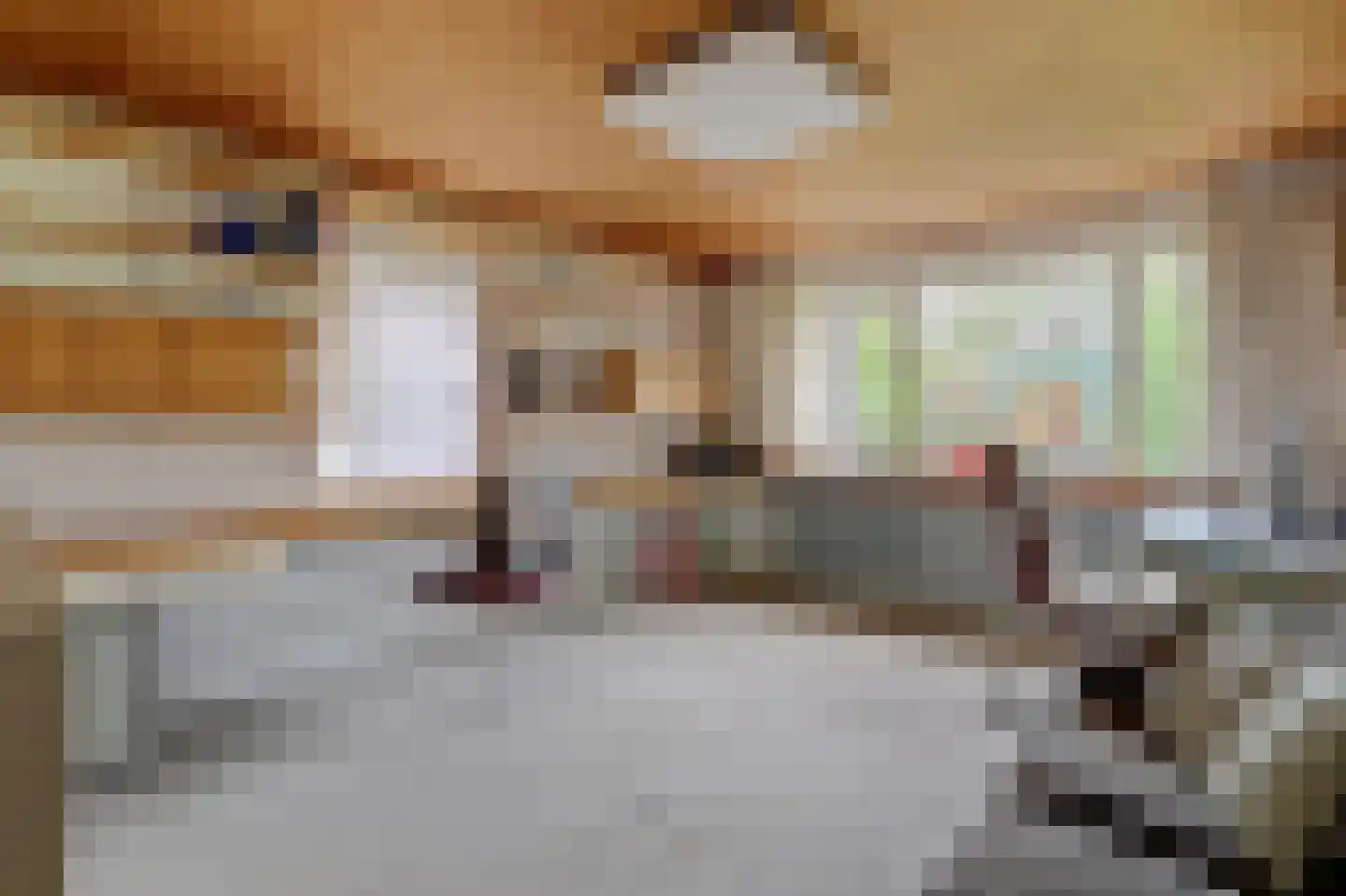 Dr. P. C. de Brouwerlaan 6 Hilvarenbeek thumbnail 21