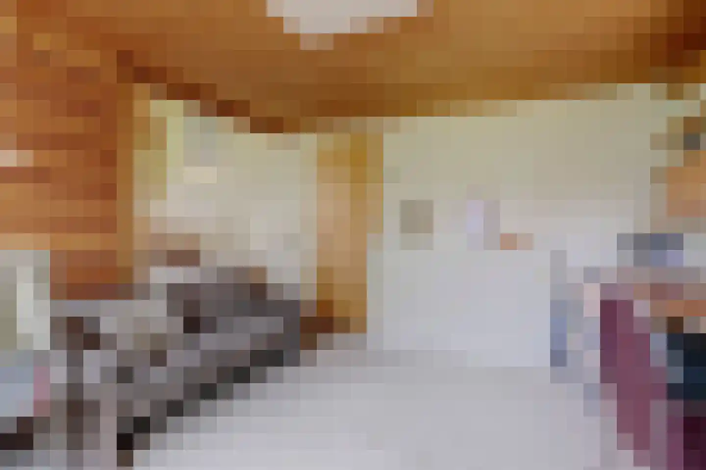 Dr. P. C. de Brouwerlaan 6 Hilvarenbeek thumbnail 22
