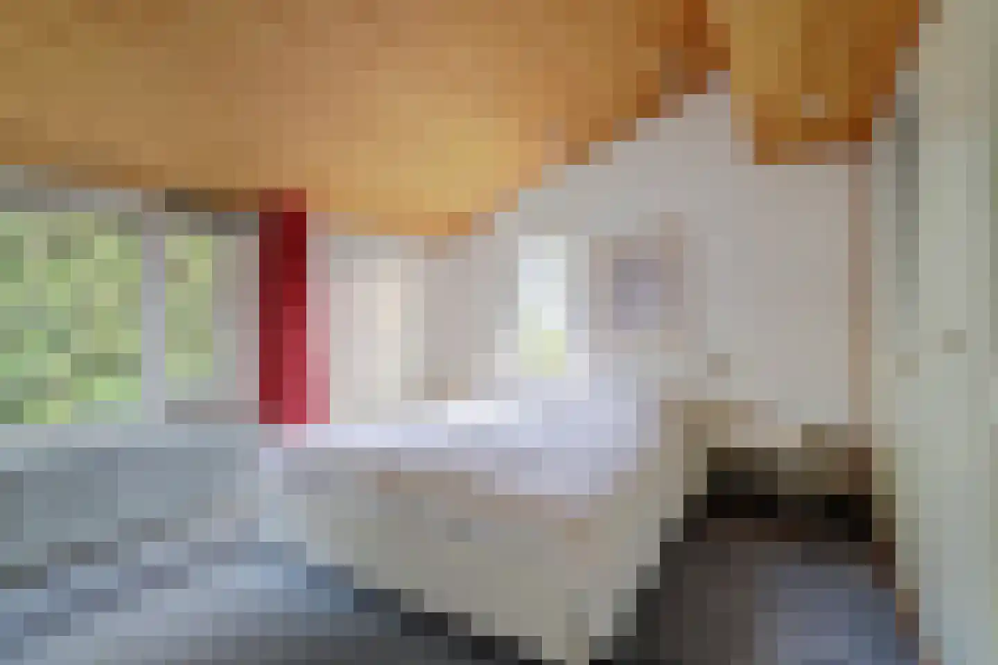 Dr. P. C. de Brouwerlaan 6 Hilvarenbeek thumbnail 32