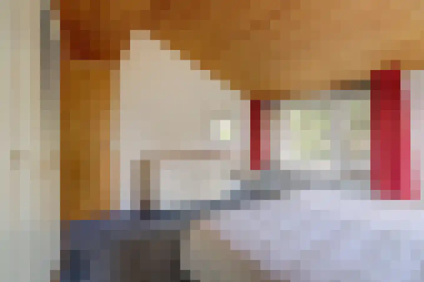 Dr. P. C. de Brouwerlaan 6 Hilvarenbeek thumbnail 33