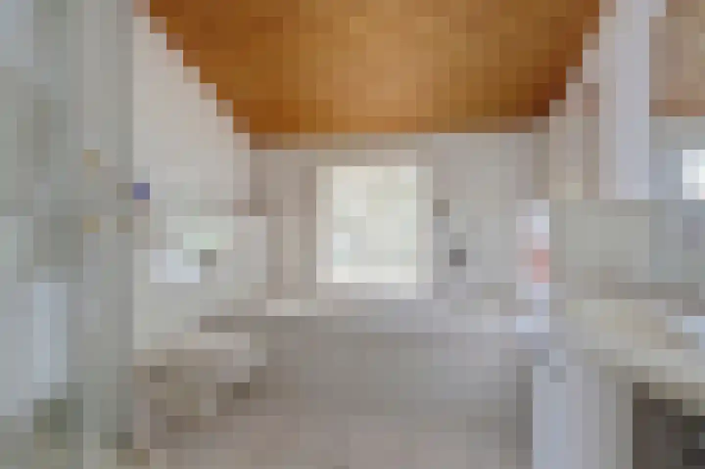 Dr. P. C. de Brouwerlaan 6 Hilvarenbeek thumbnail 34