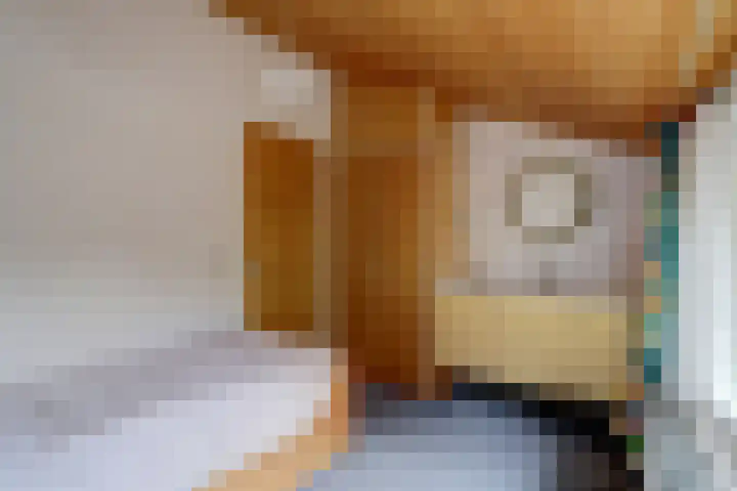 Dr. P. C. de Brouwerlaan 6 Hilvarenbeek thumbnail 36