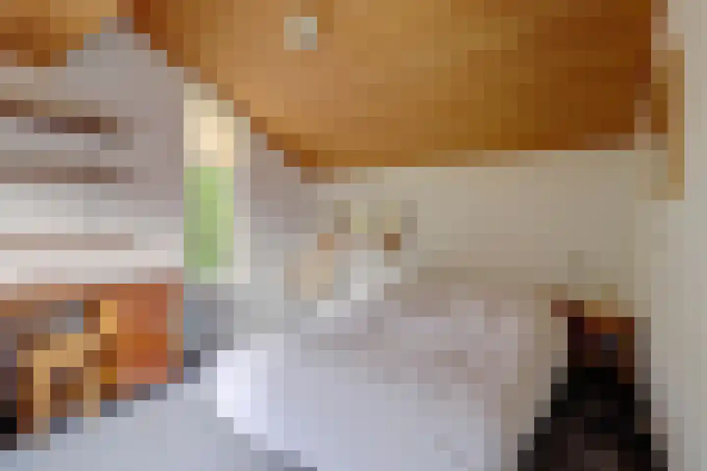 Dr. P. C. de Brouwerlaan 6 Hilvarenbeek thumbnail 38