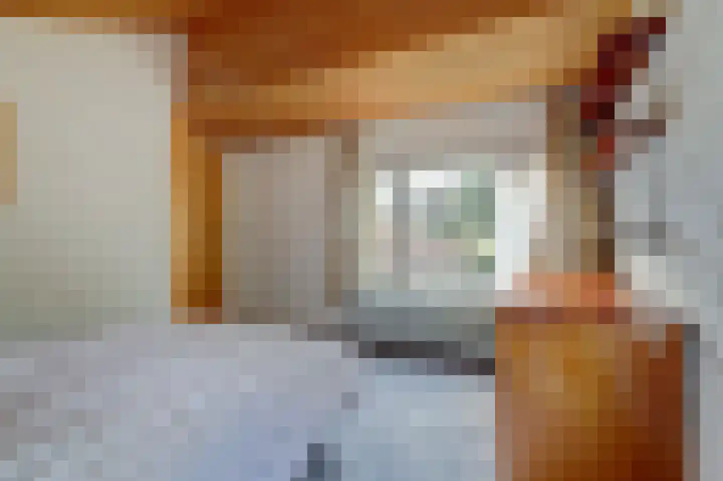 Dr. P. C. de Brouwerlaan 6 Hilvarenbeek thumbnail 39