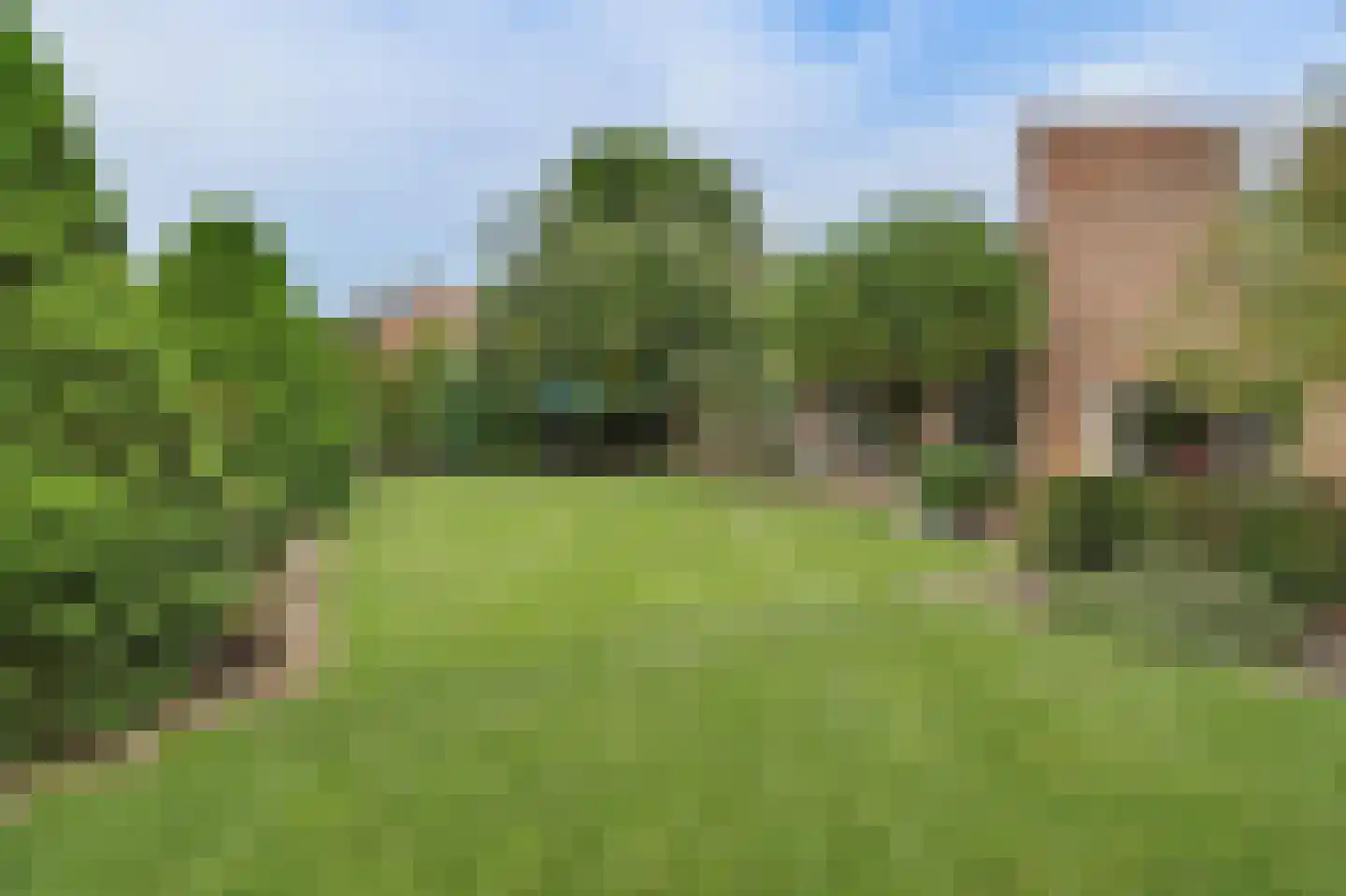 Dr. P. C. de Brouwerlaan 6 Hilvarenbeek thumbnail 4