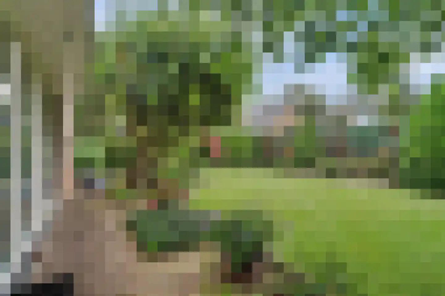 Dr. P. C. de Brouwerlaan 6 Hilvarenbeek thumbnail 40