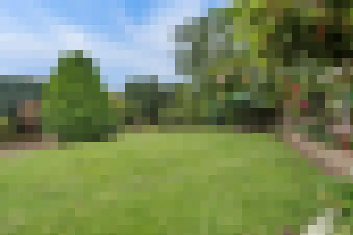 Dr. P. C. de Brouwerlaan 6 Hilvarenbeek thumbnail 41
