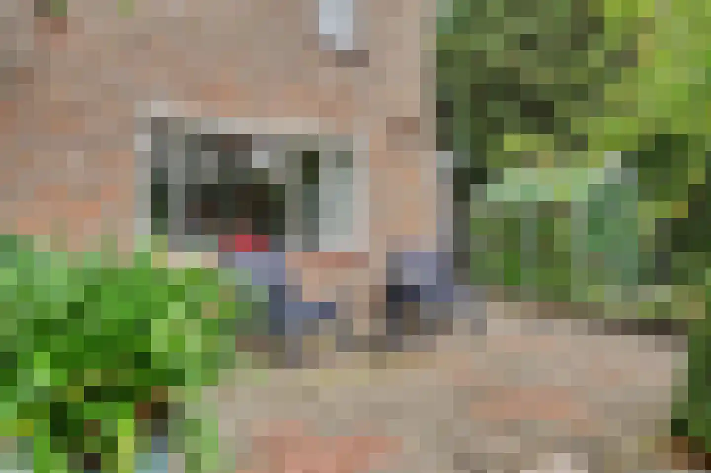 Dr. P. C. de Brouwerlaan 6 Hilvarenbeek thumbnail 42