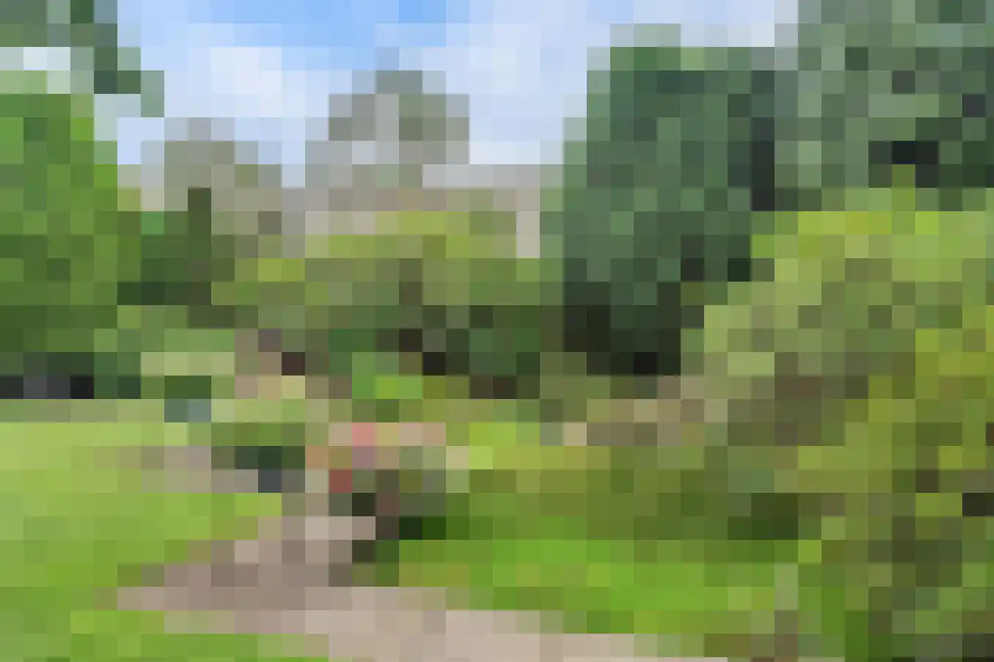 Dr. P. C. de Brouwerlaan 6 Hilvarenbeek thumbnail 43
