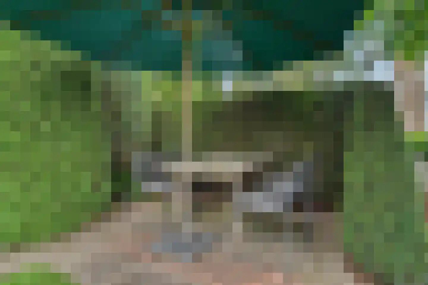 Dr. P. C. de Brouwerlaan 6 Hilvarenbeek thumbnail 45
