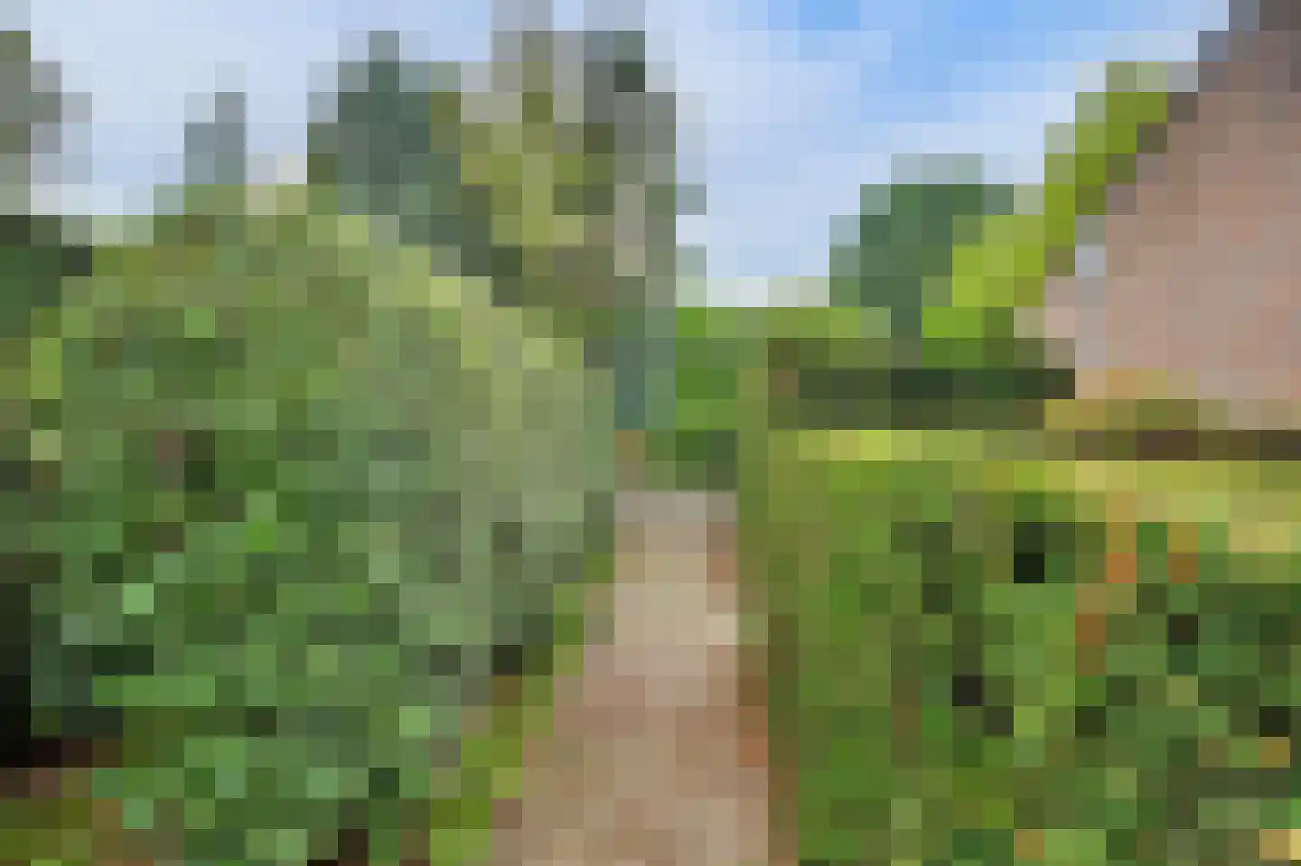 Dr. P. C. de Brouwerlaan 6 Hilvarenbeek thumbnail 48