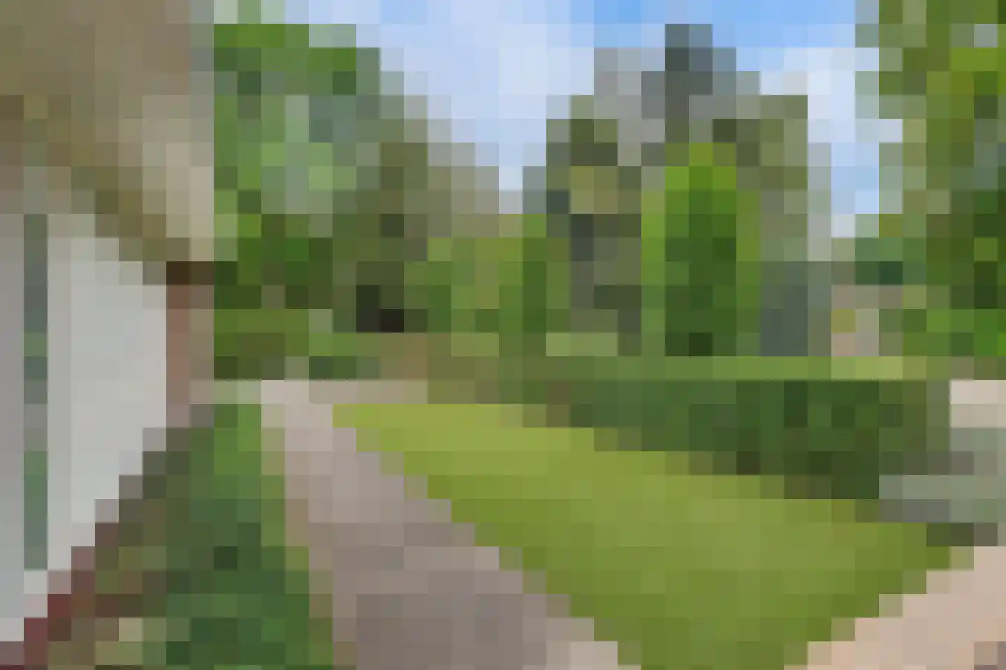 Dr. P. C. de Brouwerlaan 6 Hilvarenbeek thumbnail 49