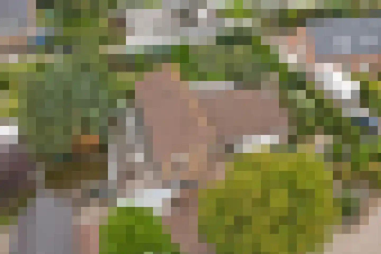 Dr. P. C. de Brouwerlaan 6 Hilvarenbeek thumbnail 50