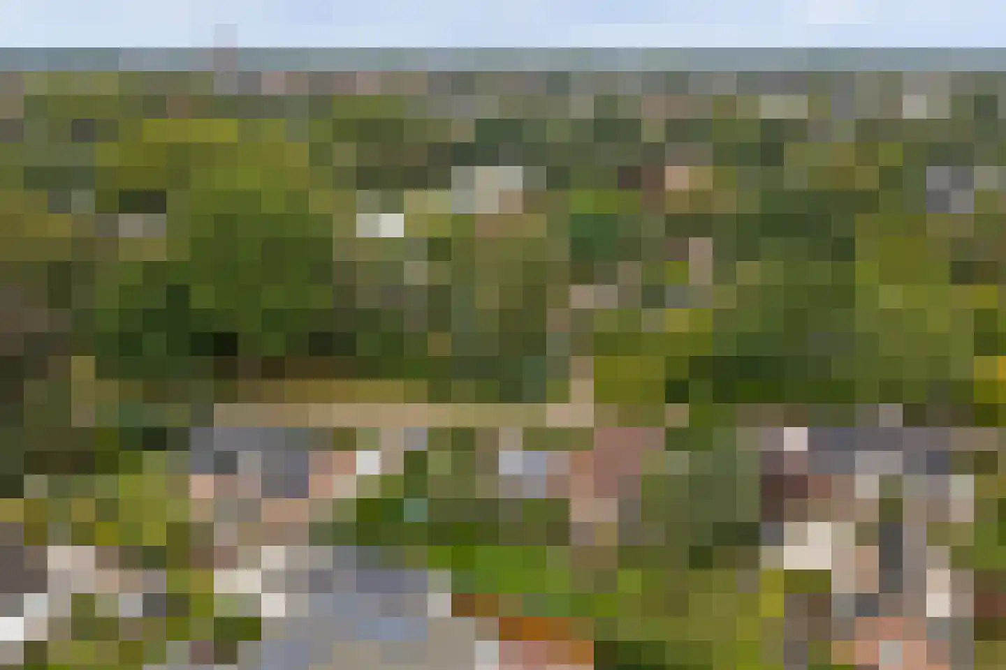 Dr. P. C. de Brouwerlaan 6 Hilvarenbeek thumbnail 51