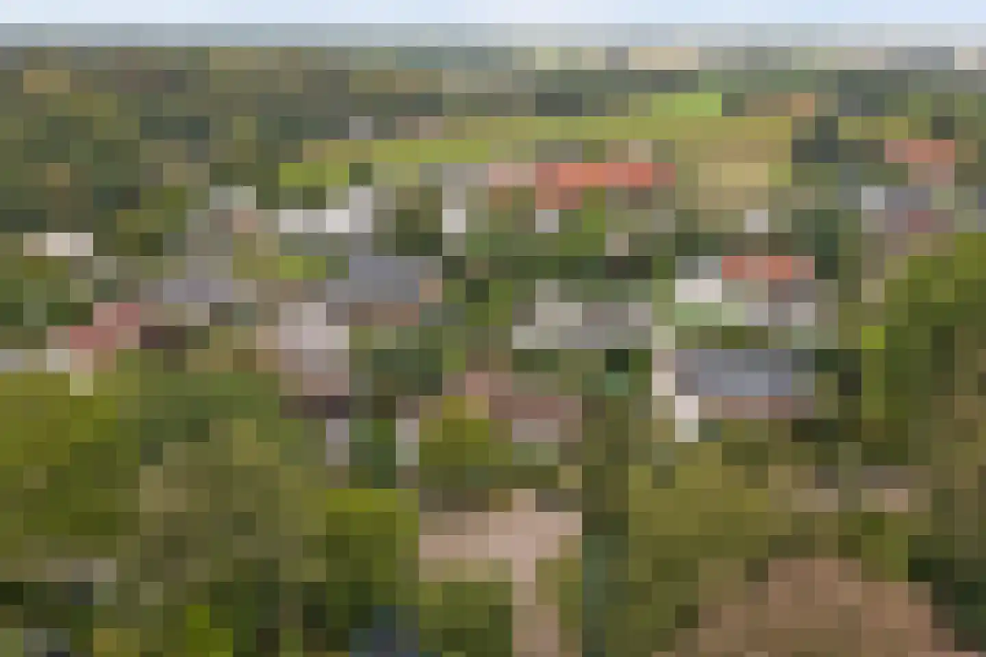 Dr. P. C. de Brouwerlaan 6 Hilvarenbeek thumbnail 6