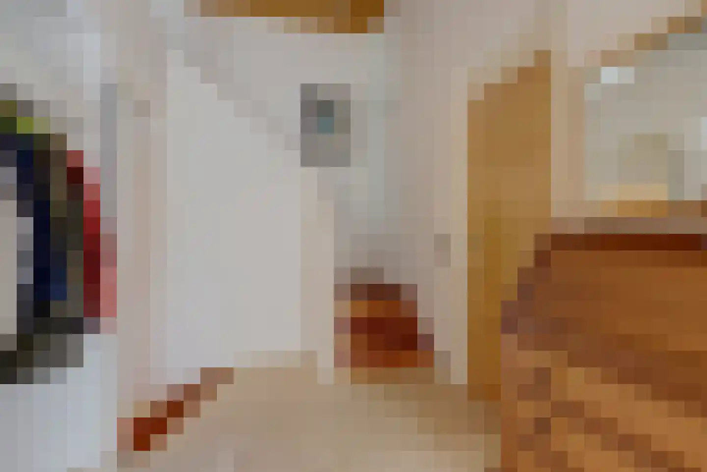 Dr. P. C. de Brouwerlaan 6 Hilvarenbeek thumbnail 7