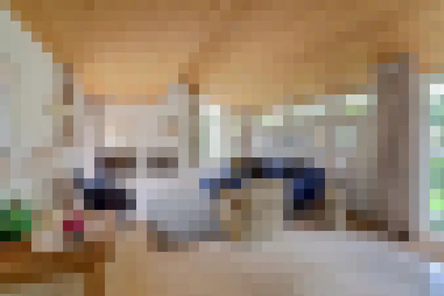Dr. P. C. de Brouwerlaan 6 Hilvarenbeek thumbnail 8
