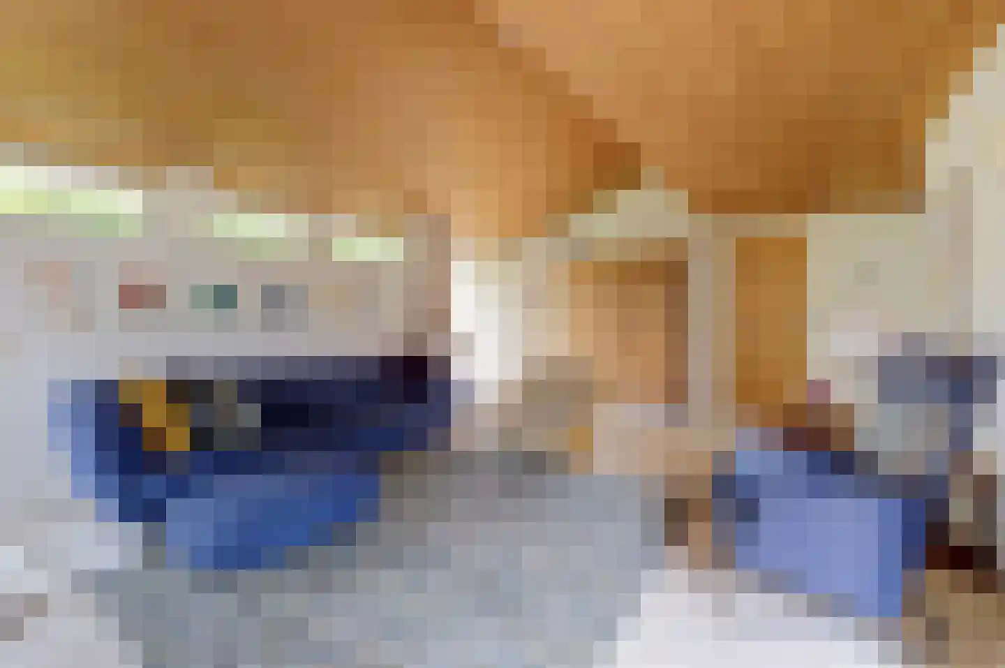Dr. P. C. de Brouwerlaan 6 Hilvarenbeek thumbnail 9