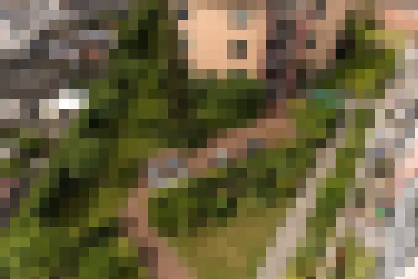 Dr. P.J.H. Cuypersplein 1 3 Hilversum thumbnail 26