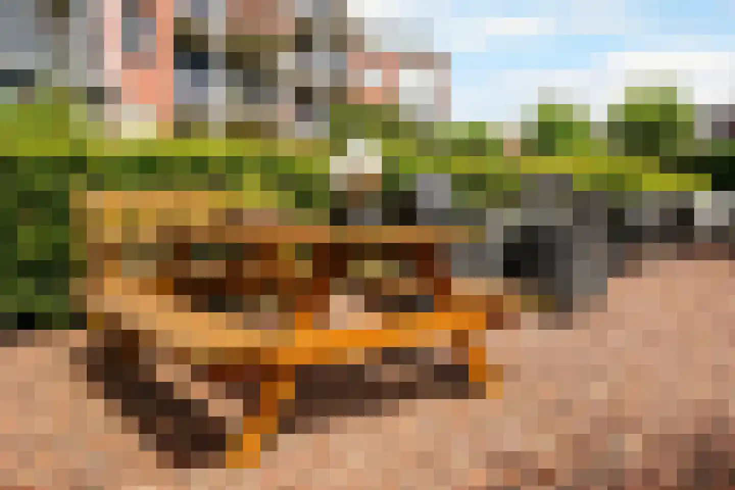 Dr. P.J.H. Cuypersplein 1 3 Hilversum thumbnail 28
