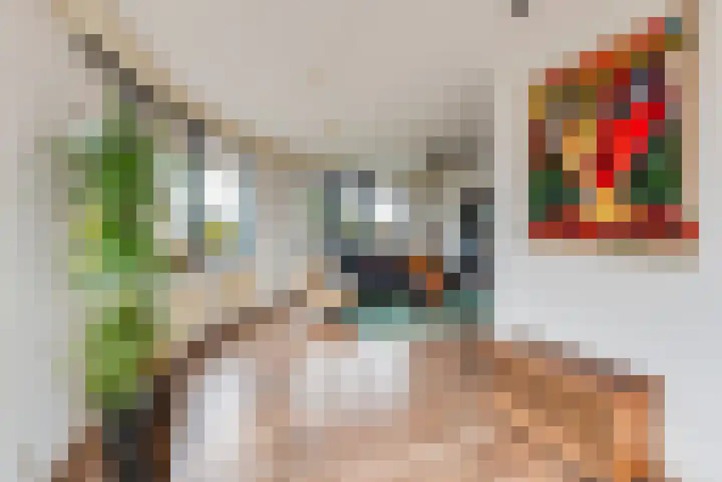 Dr. P.J.H. Cuypersplein 1 30 Hilversum thumbnail 12