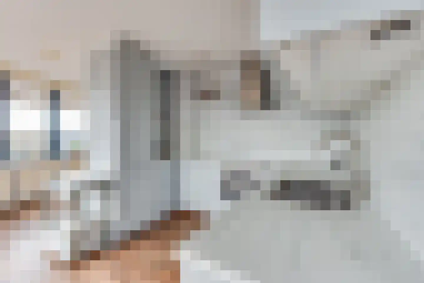 Dr. P.J.H. Cuypersplein 1 30 Hilversum thumbnail 7