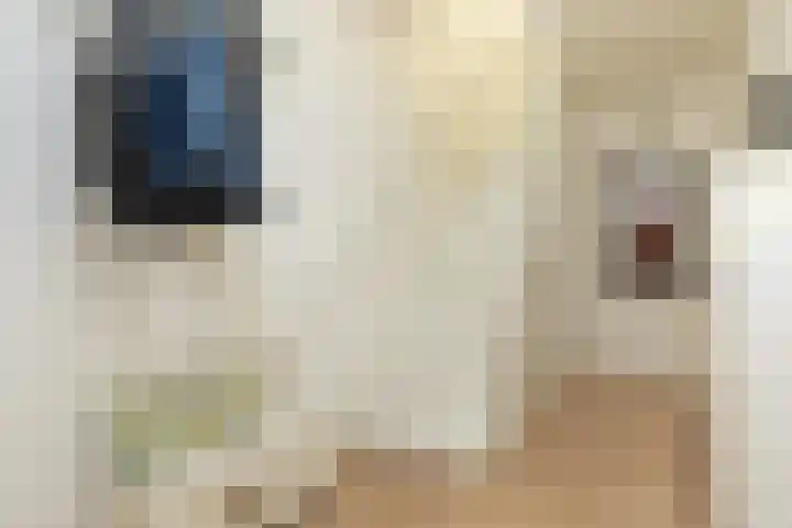 Dr. P.J.H. Cuypersplein 25 Hilversum thumbnail 11