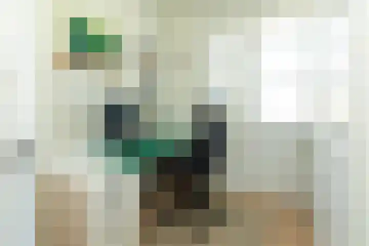 Dr. P.J.H. Cuypersplein 25 Hilversum thumbnail 18