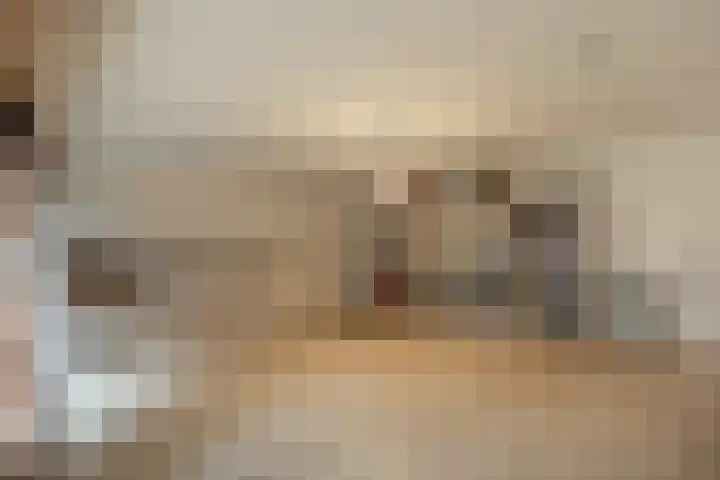 Dr. P.J.H. Cuypersplein 25 Hilversum thumbnail 21
