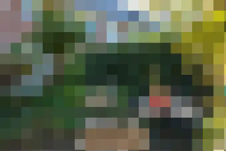 Dr. P.J.H. Cuypersplein 25 Hilversum thumbnail 28